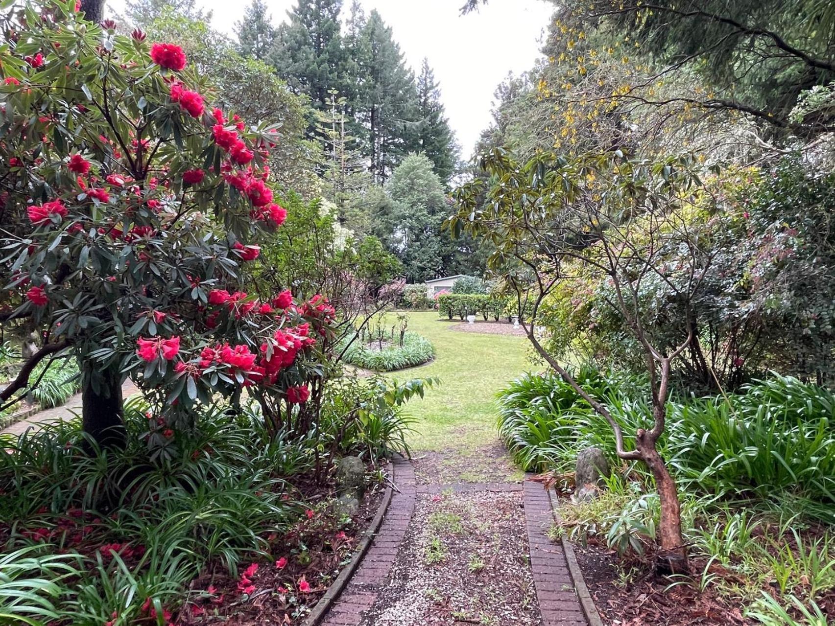 Garden Paradise In Rotorua With Pool Екстер'єр фото