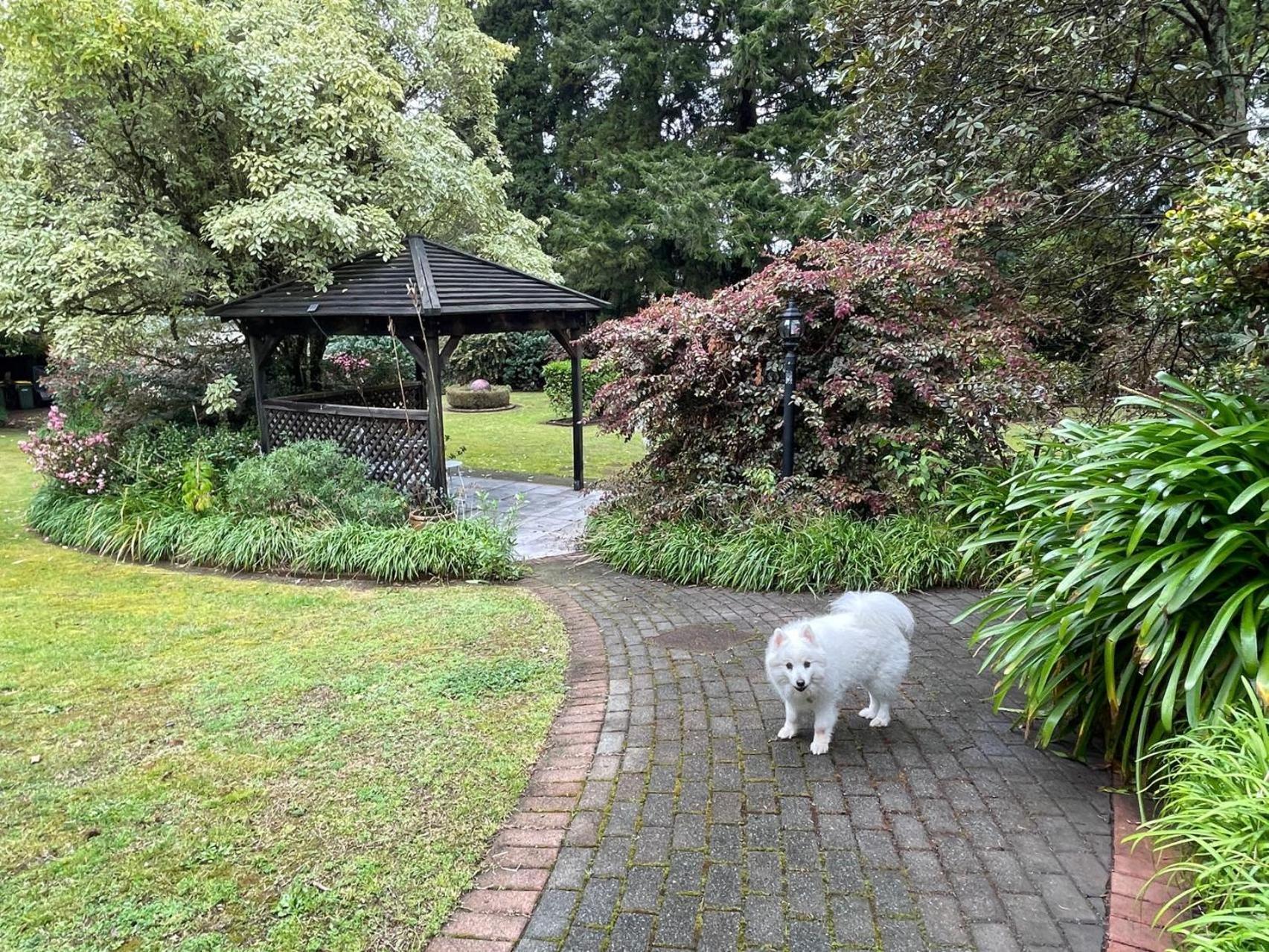 Garden Paradise In Rotorua With Pool Екстер'єр фото